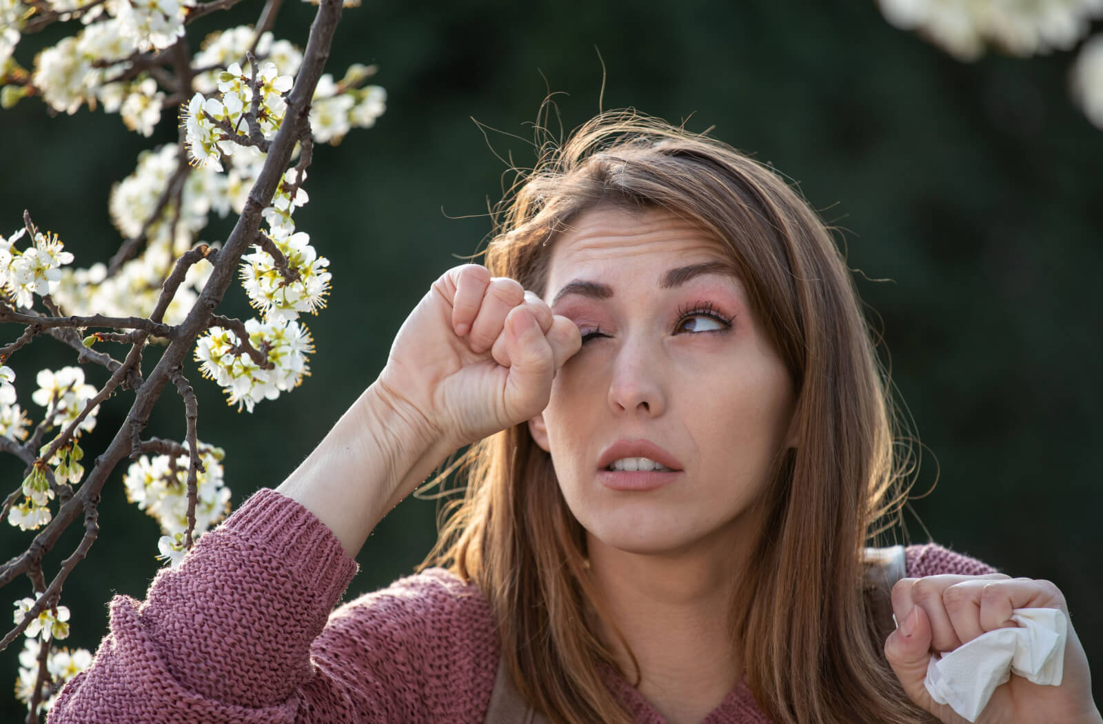 Can Allergies Cause Dry Eyes? | Los Angeles